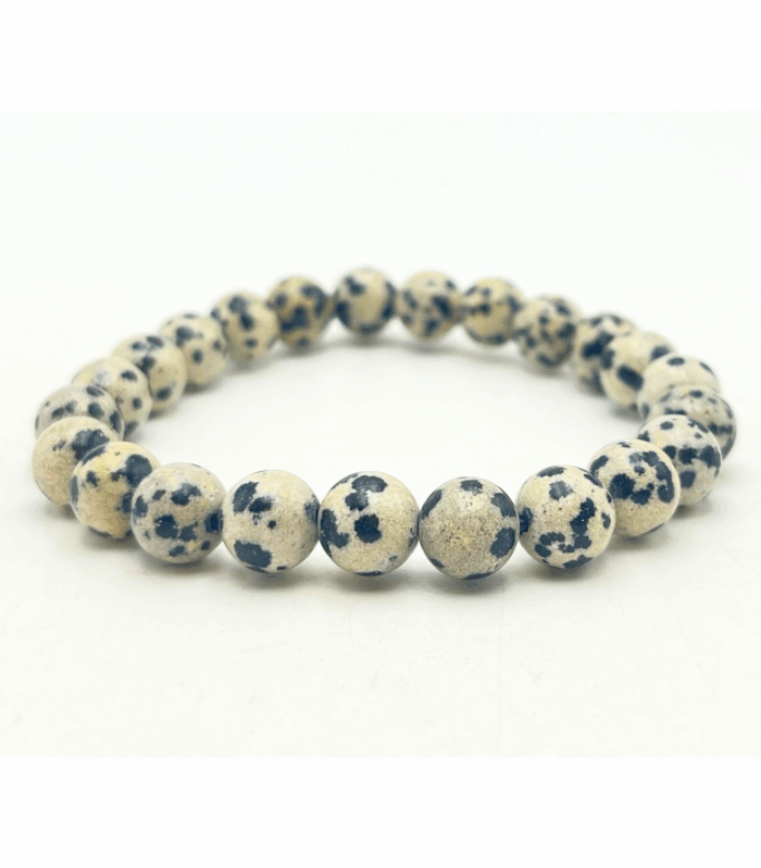 Dalmatian Jasper Single Stone Bracelet