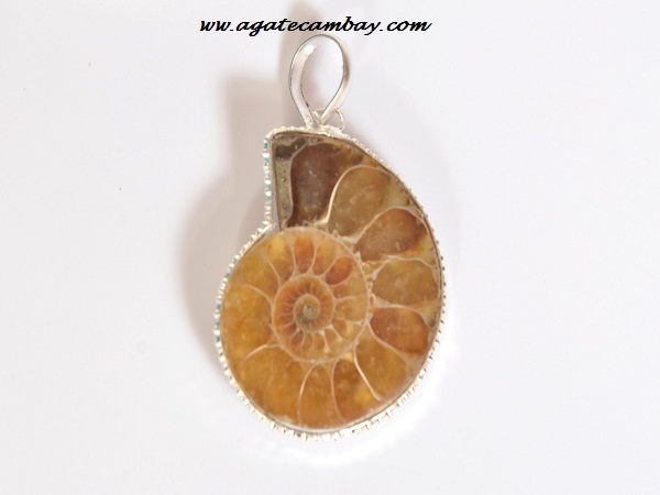 Ammonite Pendant