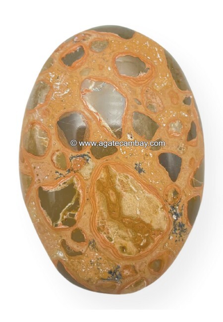 Leopardite Jasper Palm Stone