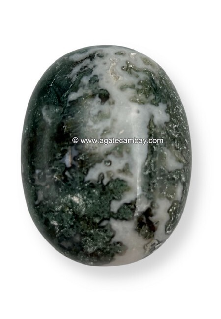 Moss Agate Palm Stone