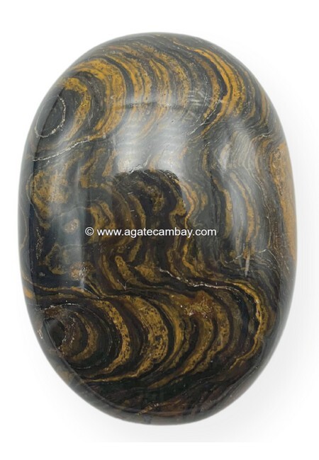 Stromatolite Palm Stone
