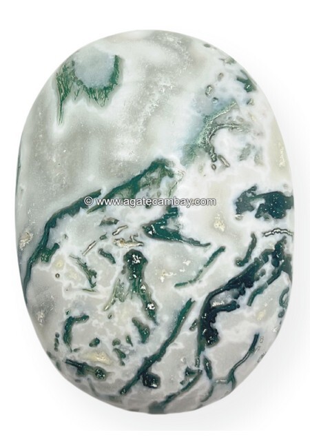 Tree Agate Palm Stone